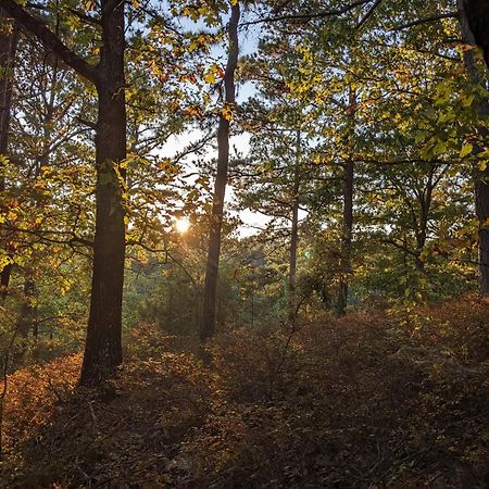 Loblolly Pines Adventure Cabin 4 King Юрика Спрингс Экстерьер фото